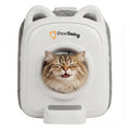 cathouse