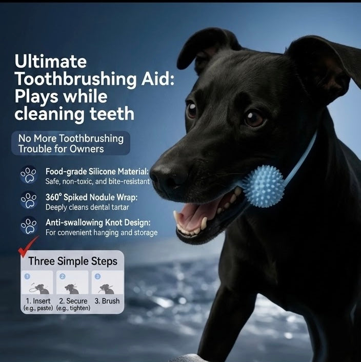 Dog Teeth Cleaning Chew Bone with Toothbrush