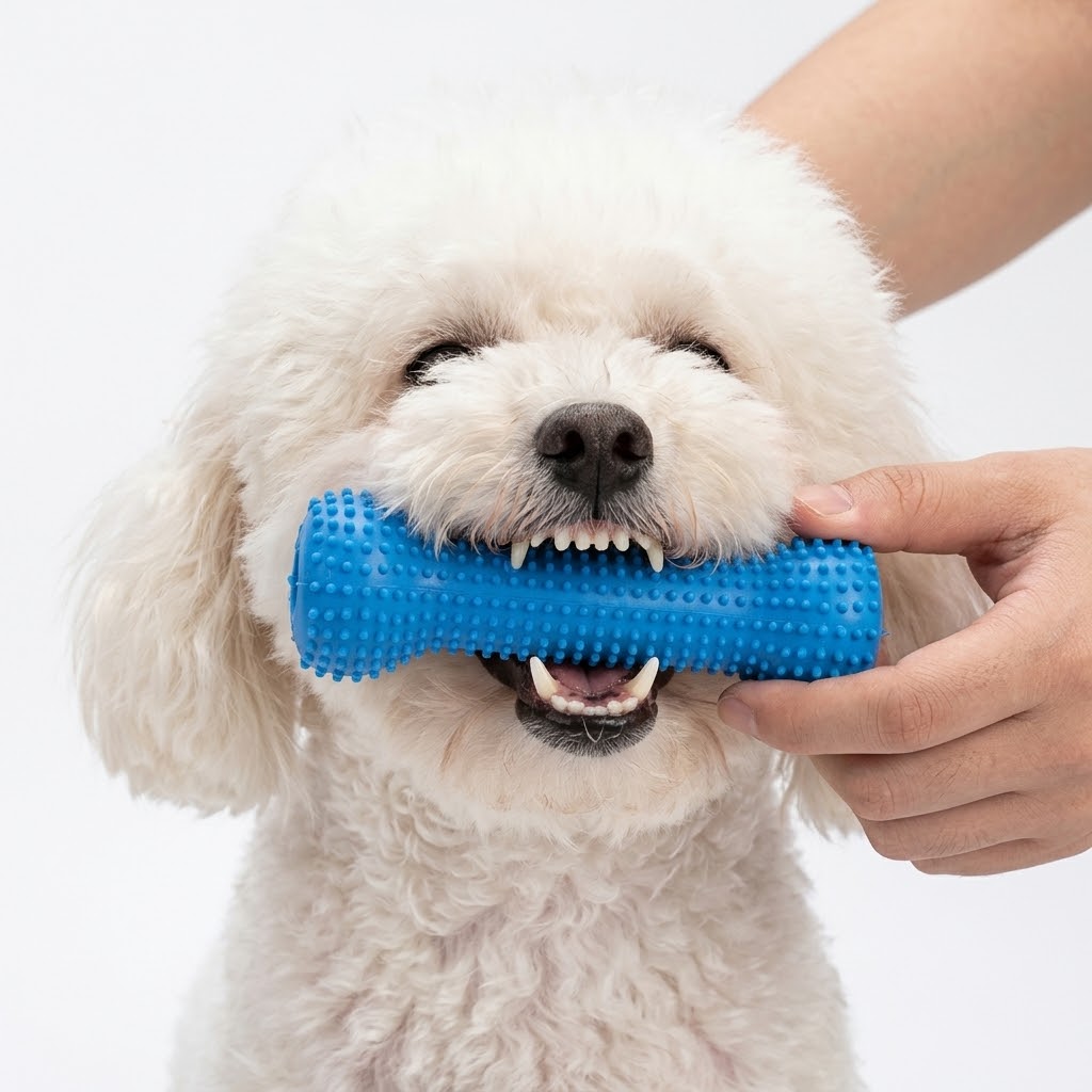 Dog Teeth Cleaning Chew Bone with Toothbrush