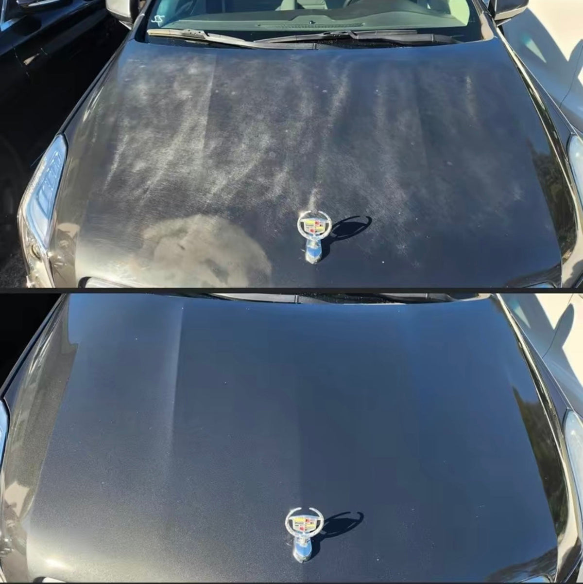 Clear coat on hood before and after