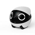 Smart Pet Companion Robot Camera