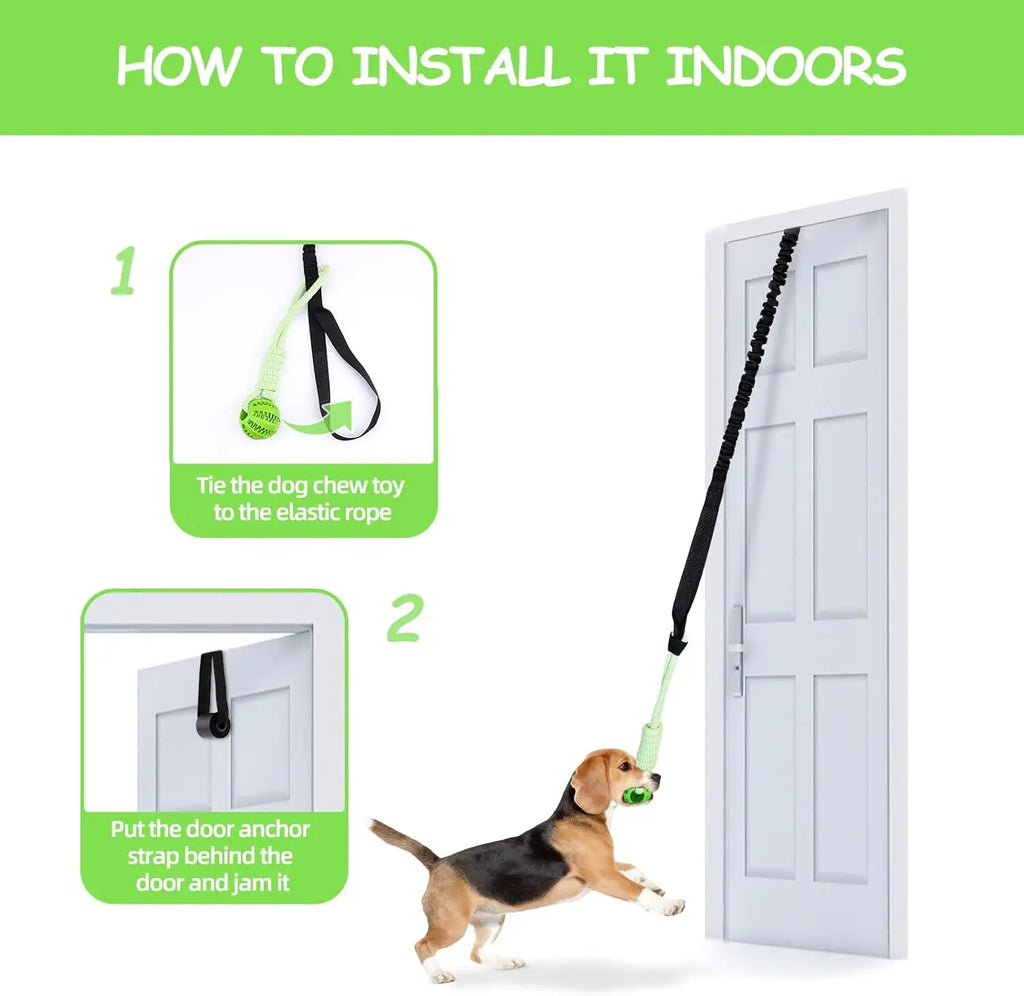 Door Hanging Bungee Toy for Dogs