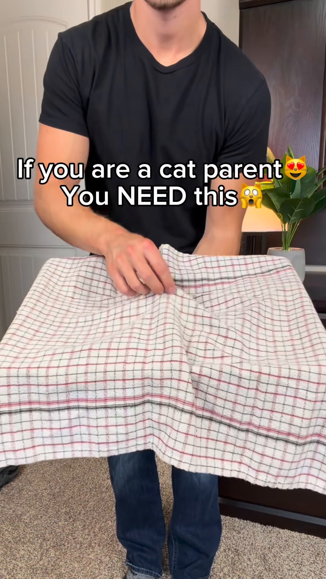 Interactive Cat Play Mat with Self-Moving Smart Ball