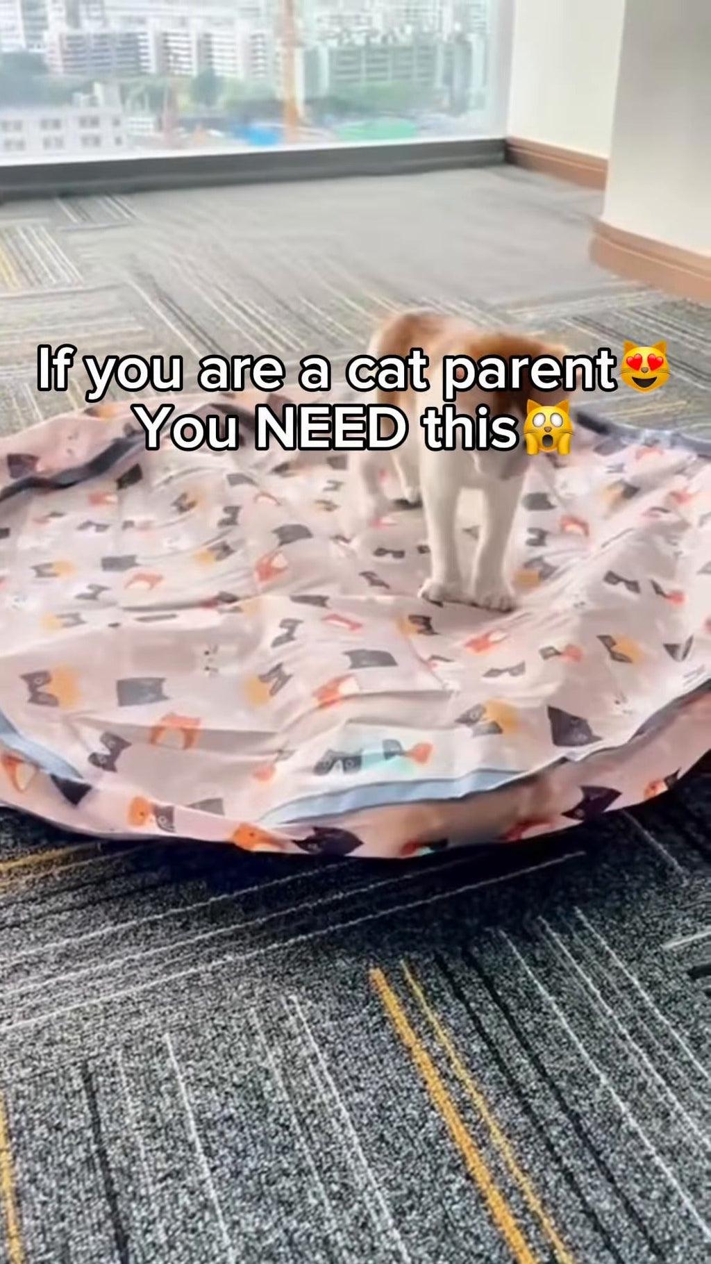 Interactive Cat Play Mat with Self-Moving Smart Ball