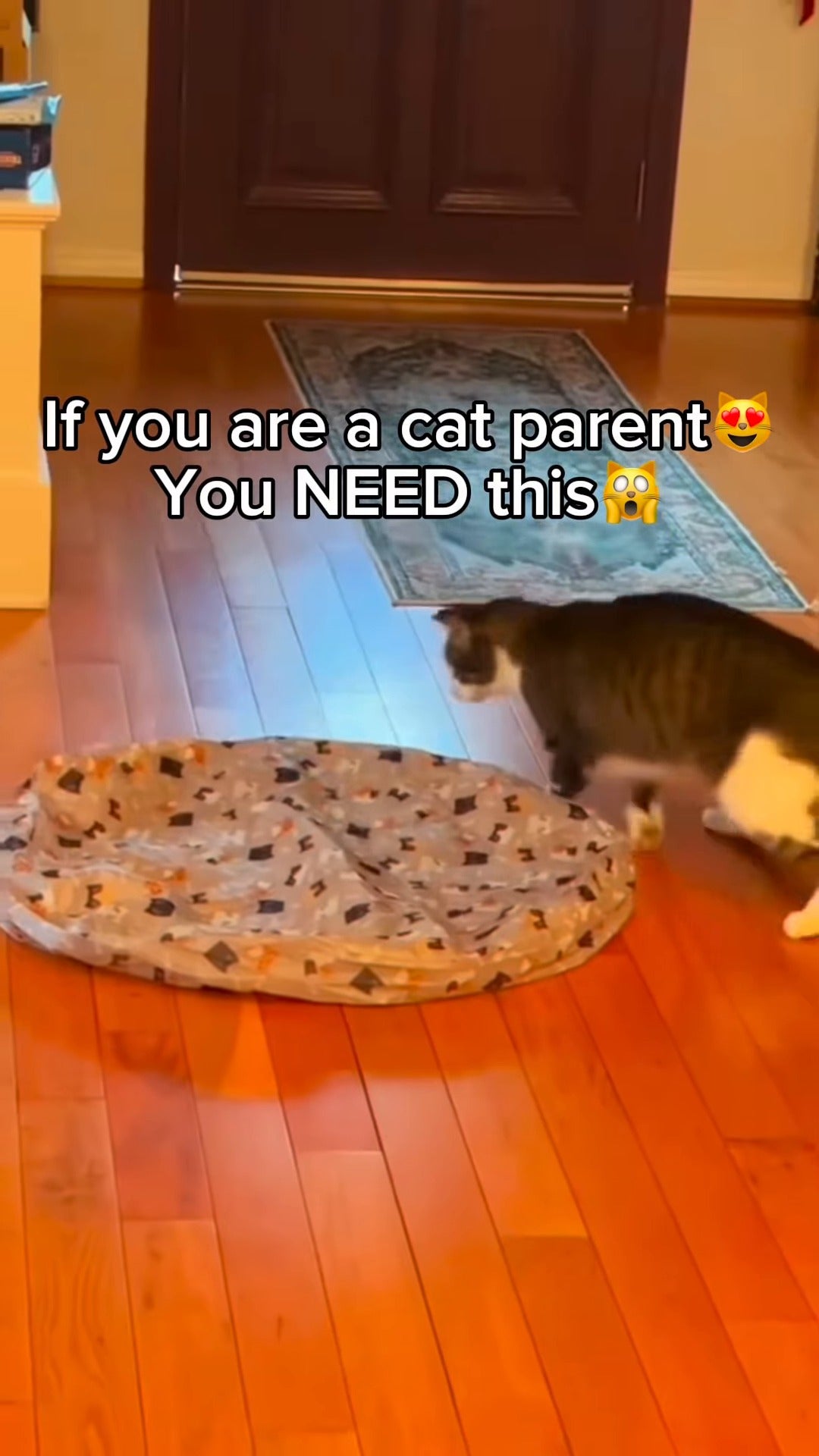Interactive Cat Play Mat with Self-Moving Smart Ball