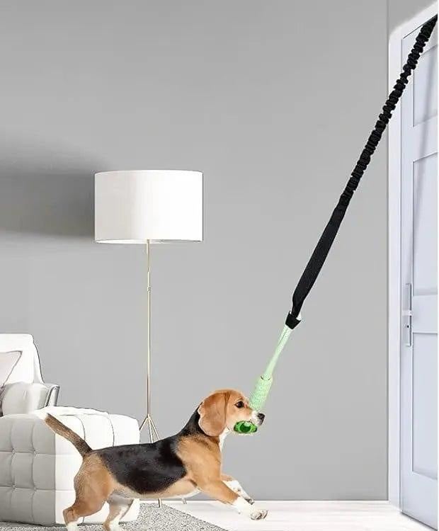 Door Hanging Bungee Toy for Dogs