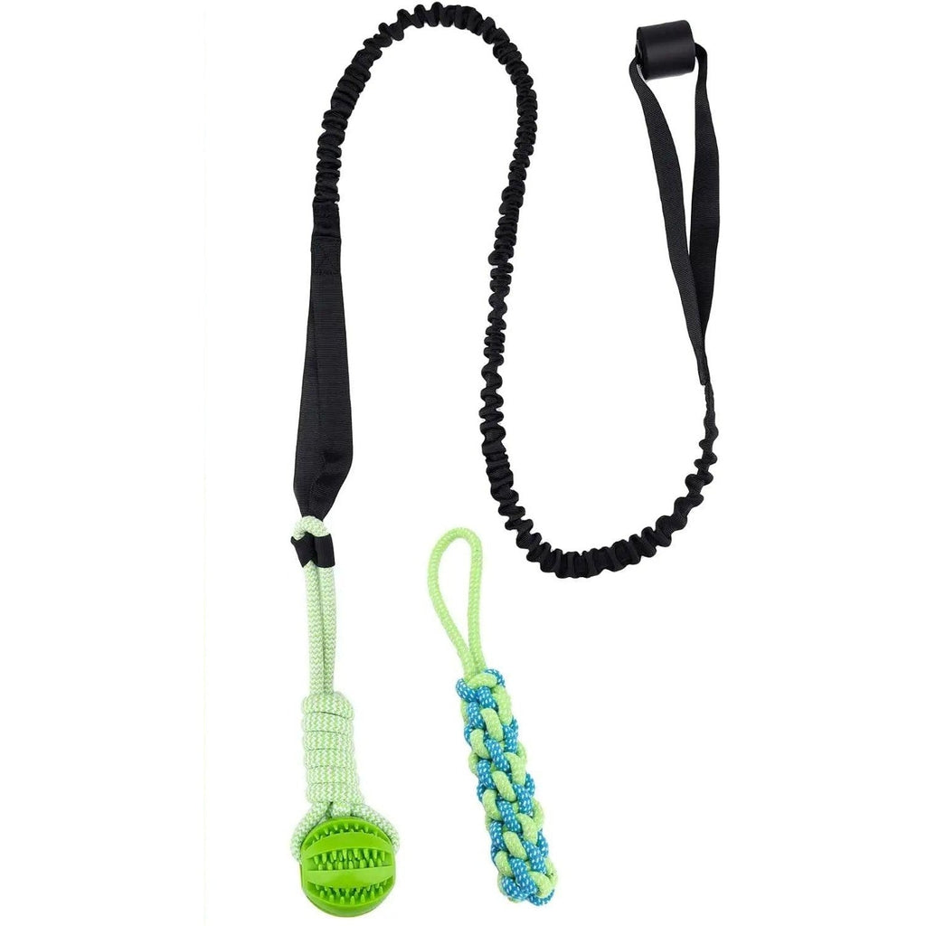 Door Hanging Bungee Toy for Dogs