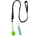Door Hanging Bungee Toy for Dogs