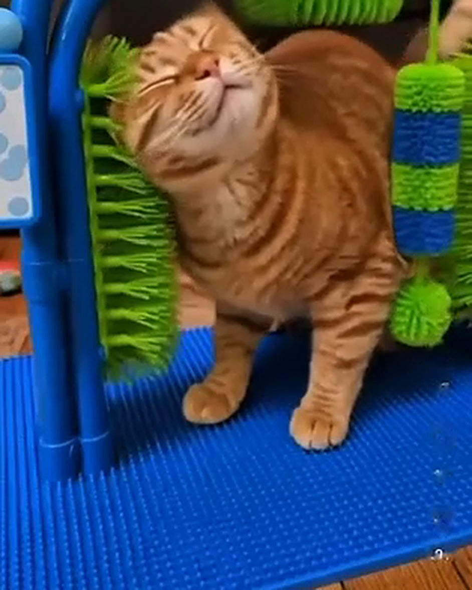 Cat rubbing against the brushes