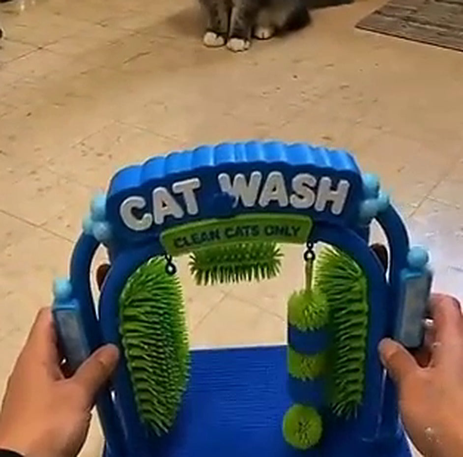 Self-Grooming Cat Brush Arch with Massage Mat