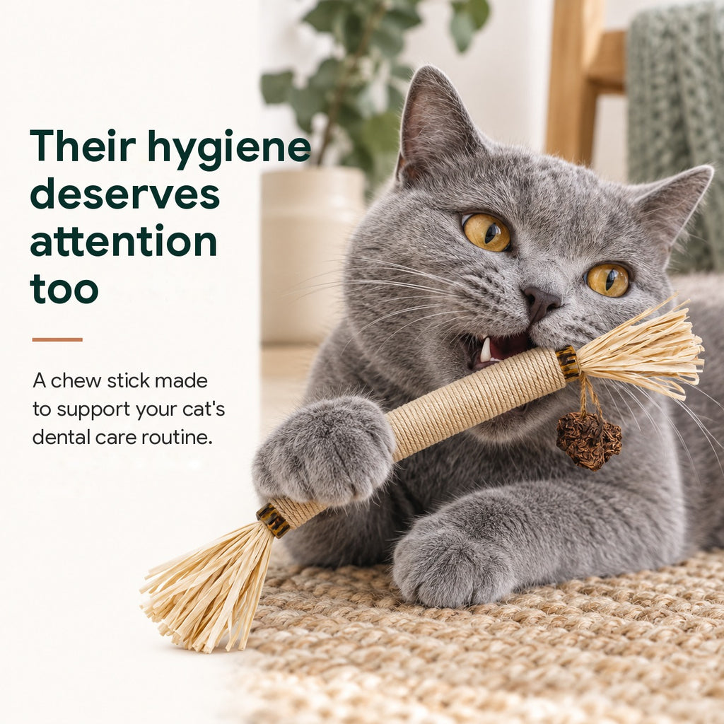 Cat Dental Chew Stick