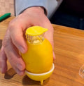 Citrus Juicer Spritzer