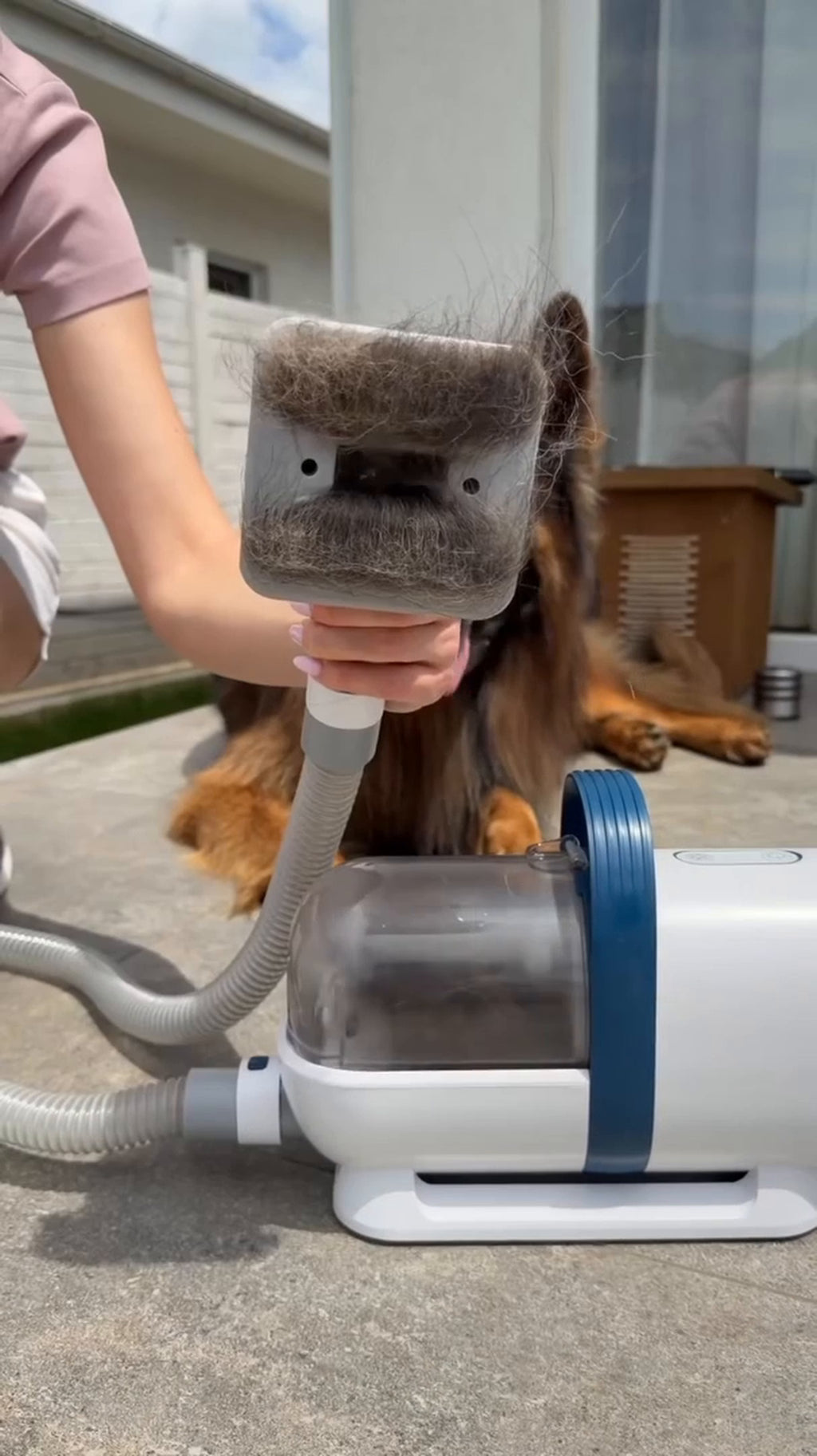 6-in-1 Pet Grooming Kit with Vacuum
