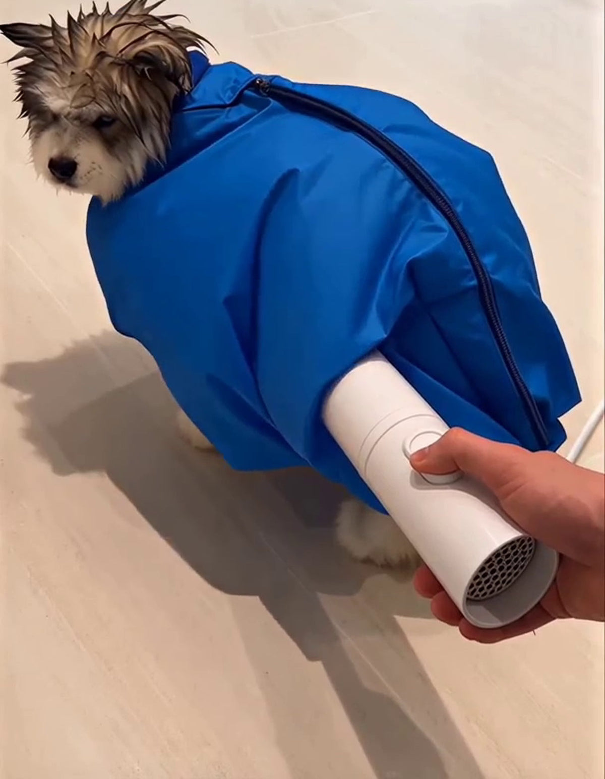 Dog Drying Bag for Hair Dryer