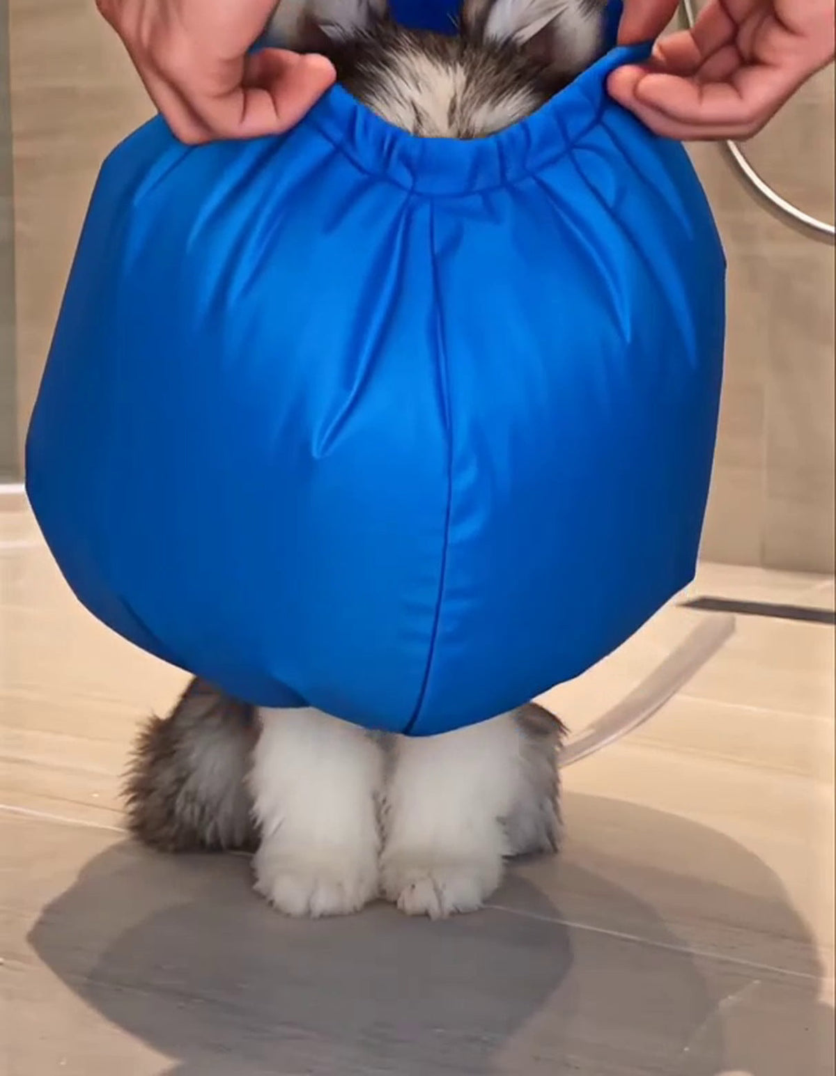 Dog Drying Bag for Hair Dryer
