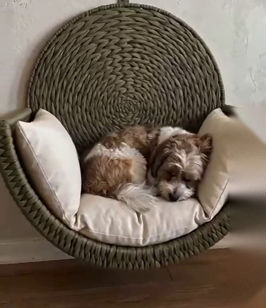 Wall-Mounted Woven Pet Bed