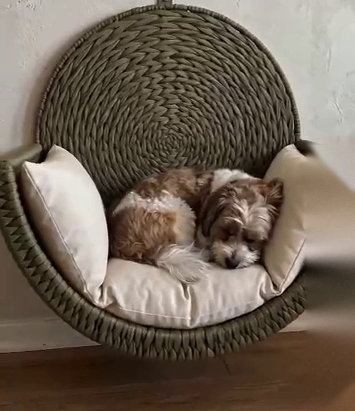 Wall-Mounted Woven Pet Bed