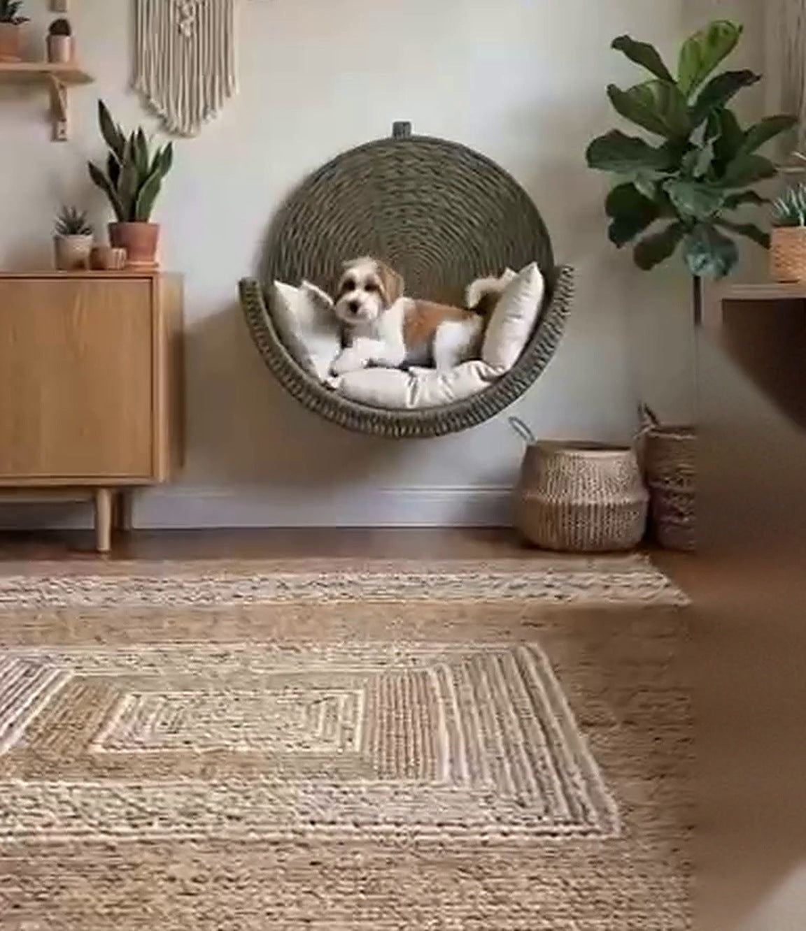 Wall-Mounted Woven Pet Bed