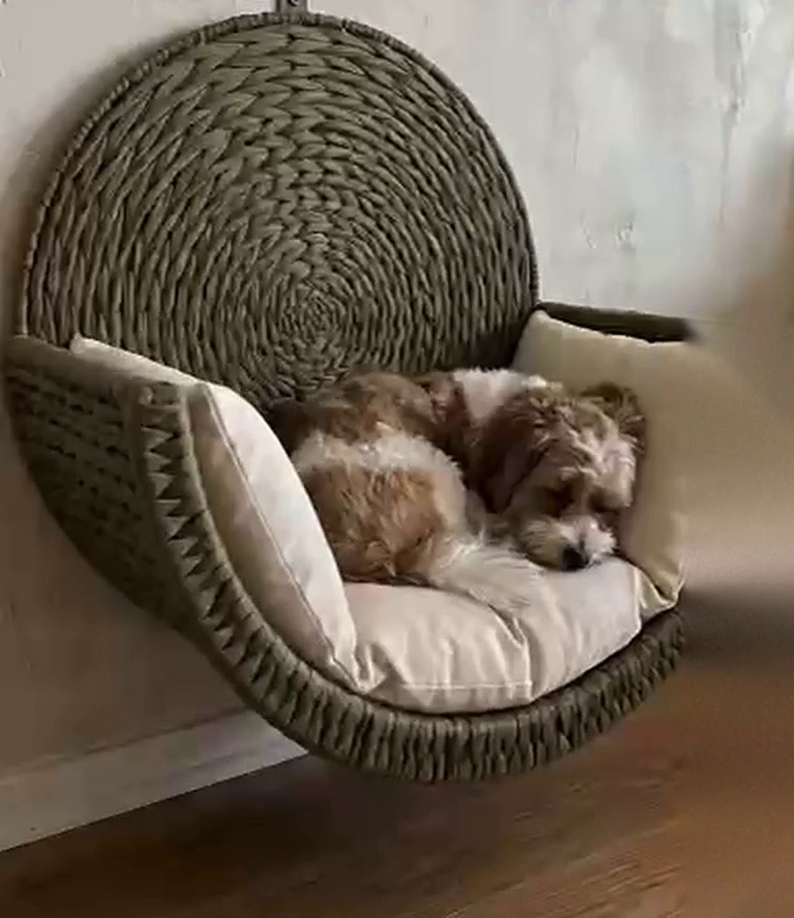 Wall-Mounted Woven Pet Bed