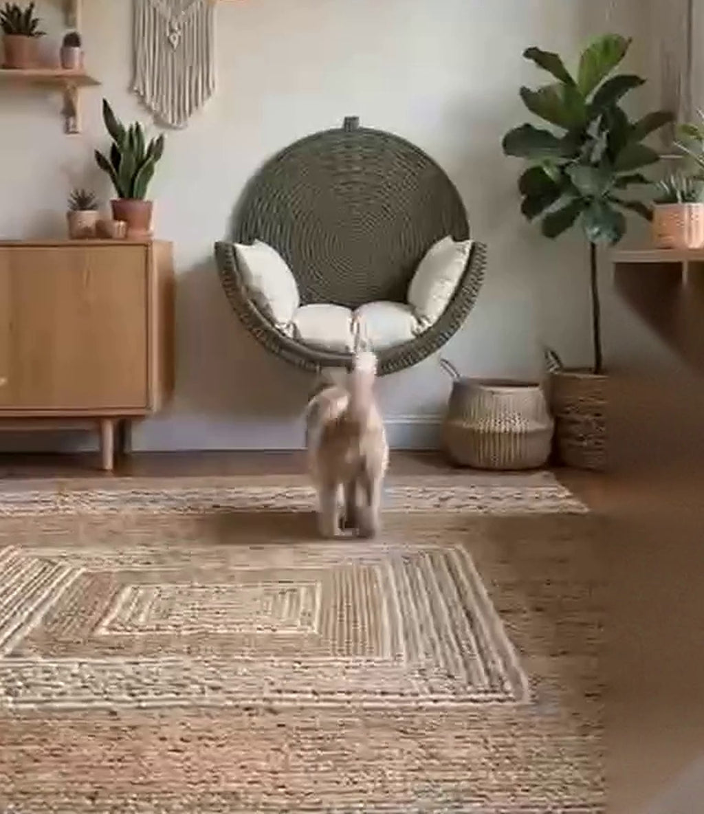 Wall-Mounted Woven Pet Bed