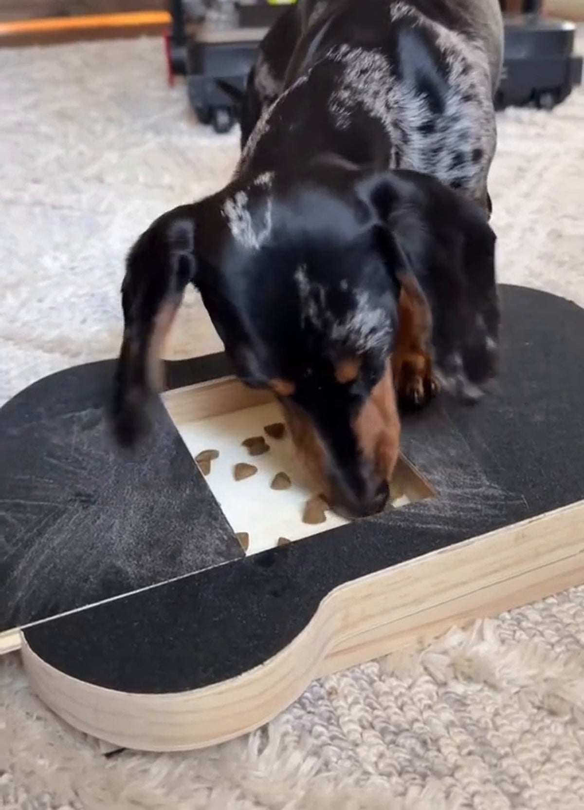 Dog Nail Scratch Board – Bone Shaped