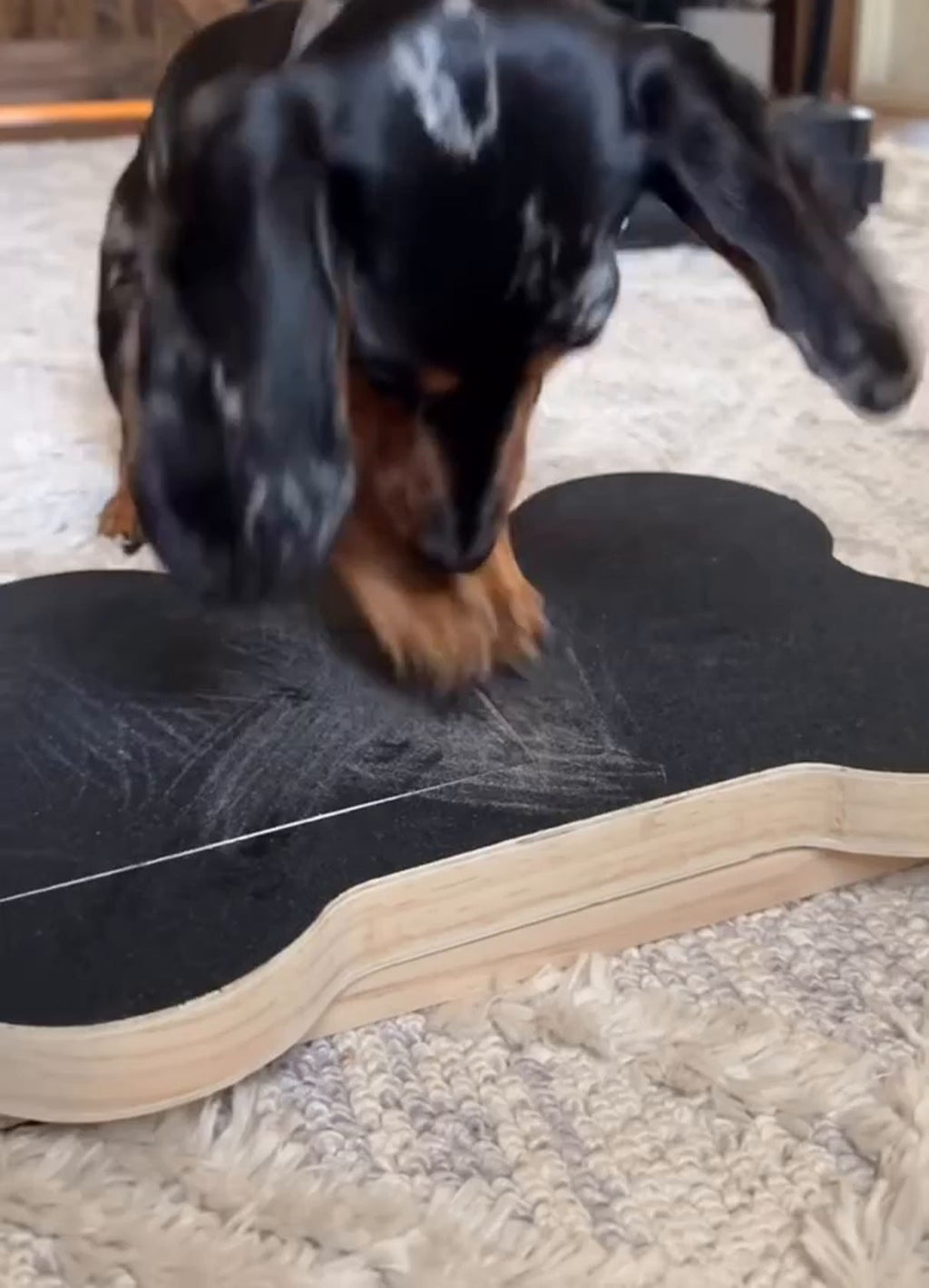 Dog Nail Scratch Board – Bone Shaped