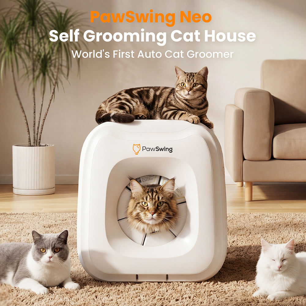 Self-Grooming Cat House & Food Dispenser