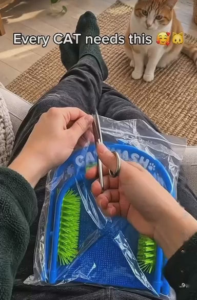 Self-Grooming Cat Brush Arch with Massage Mat