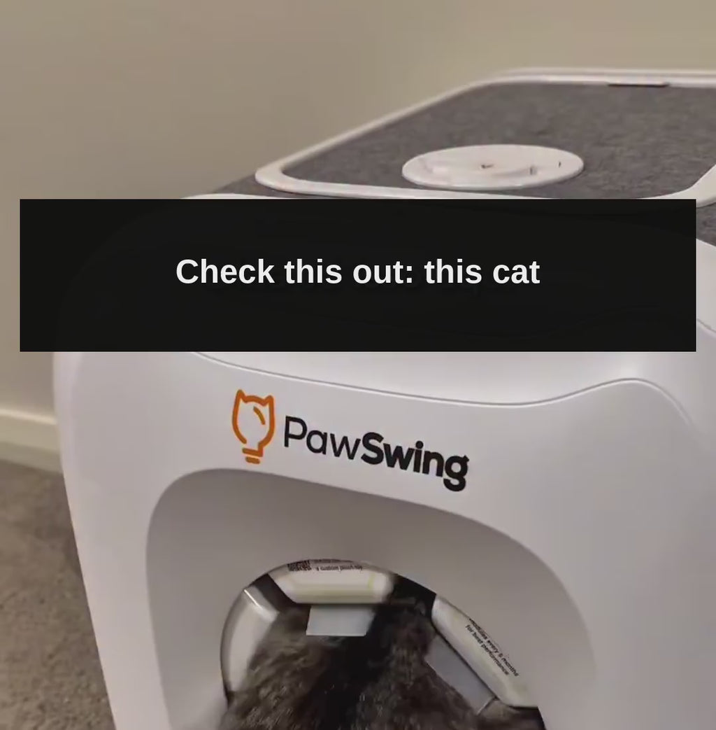 Self-Grooming Cat House