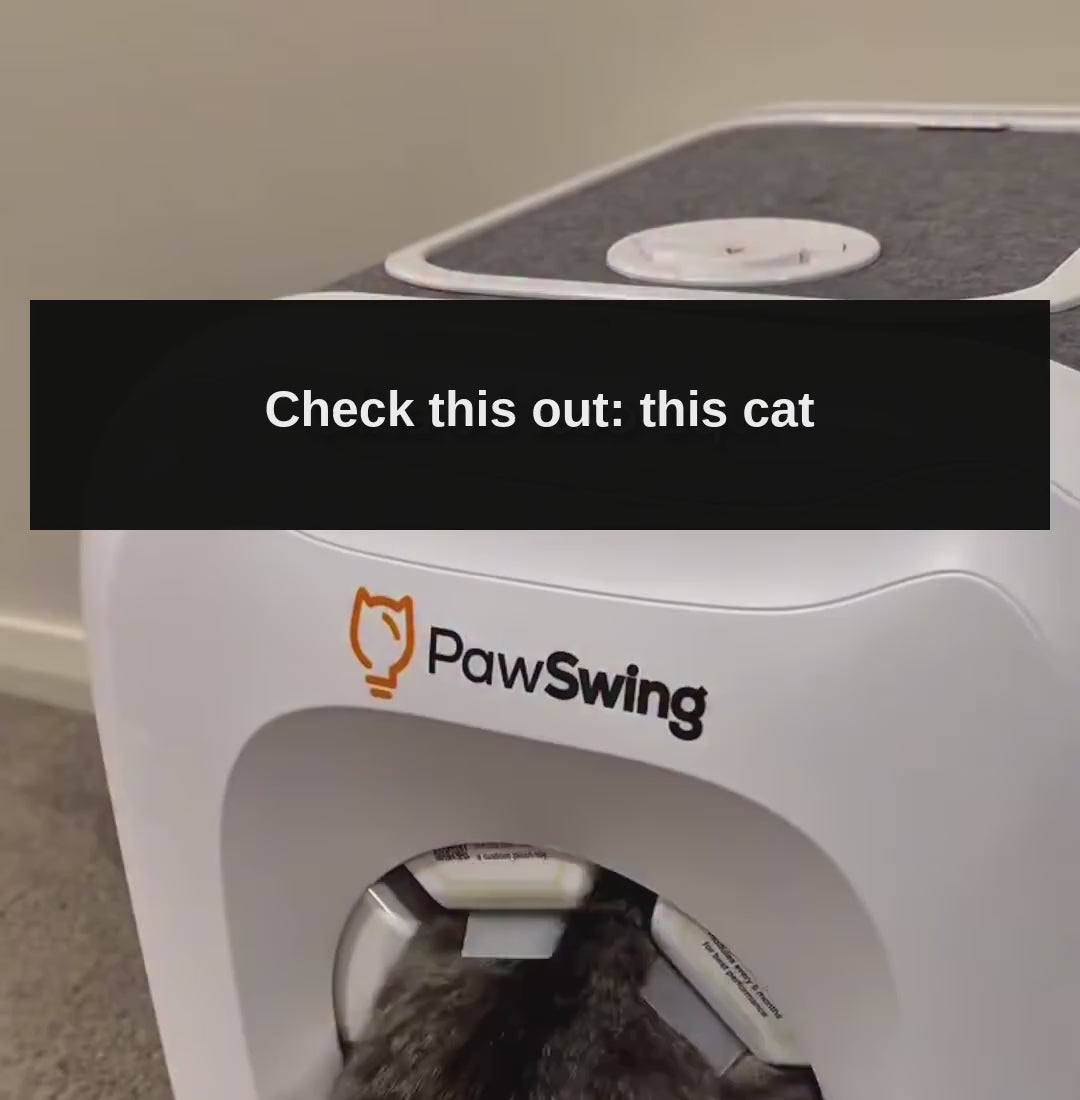 Self-Grooming Cat House