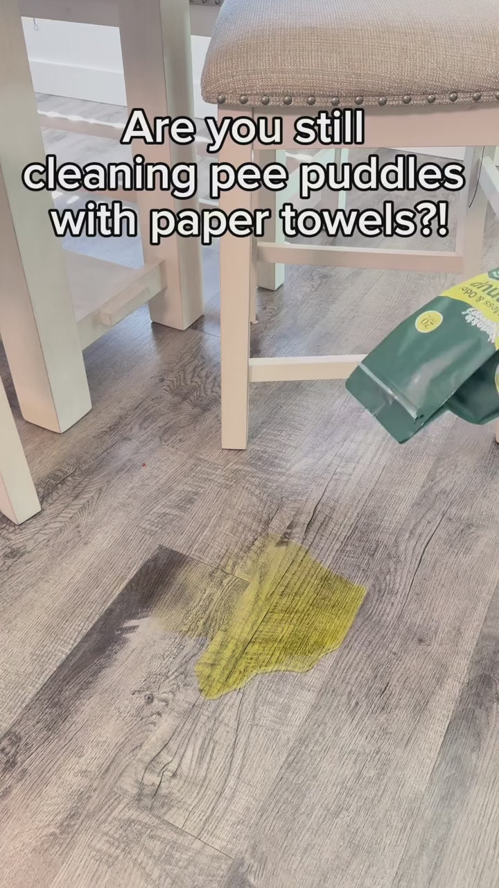 Pet Mess & Odor Cleanup Powder – Sprinkle, Clump & Sweep