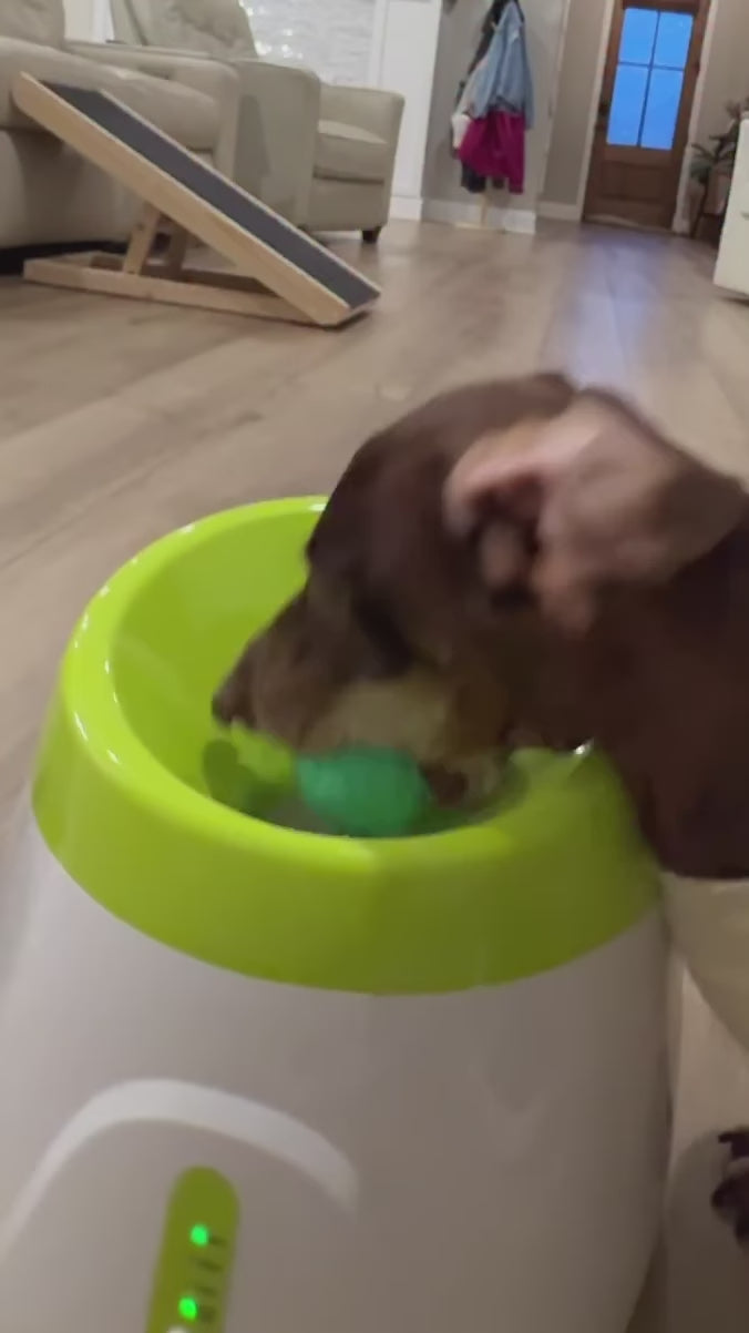 Automatic Dog Ball Launcher