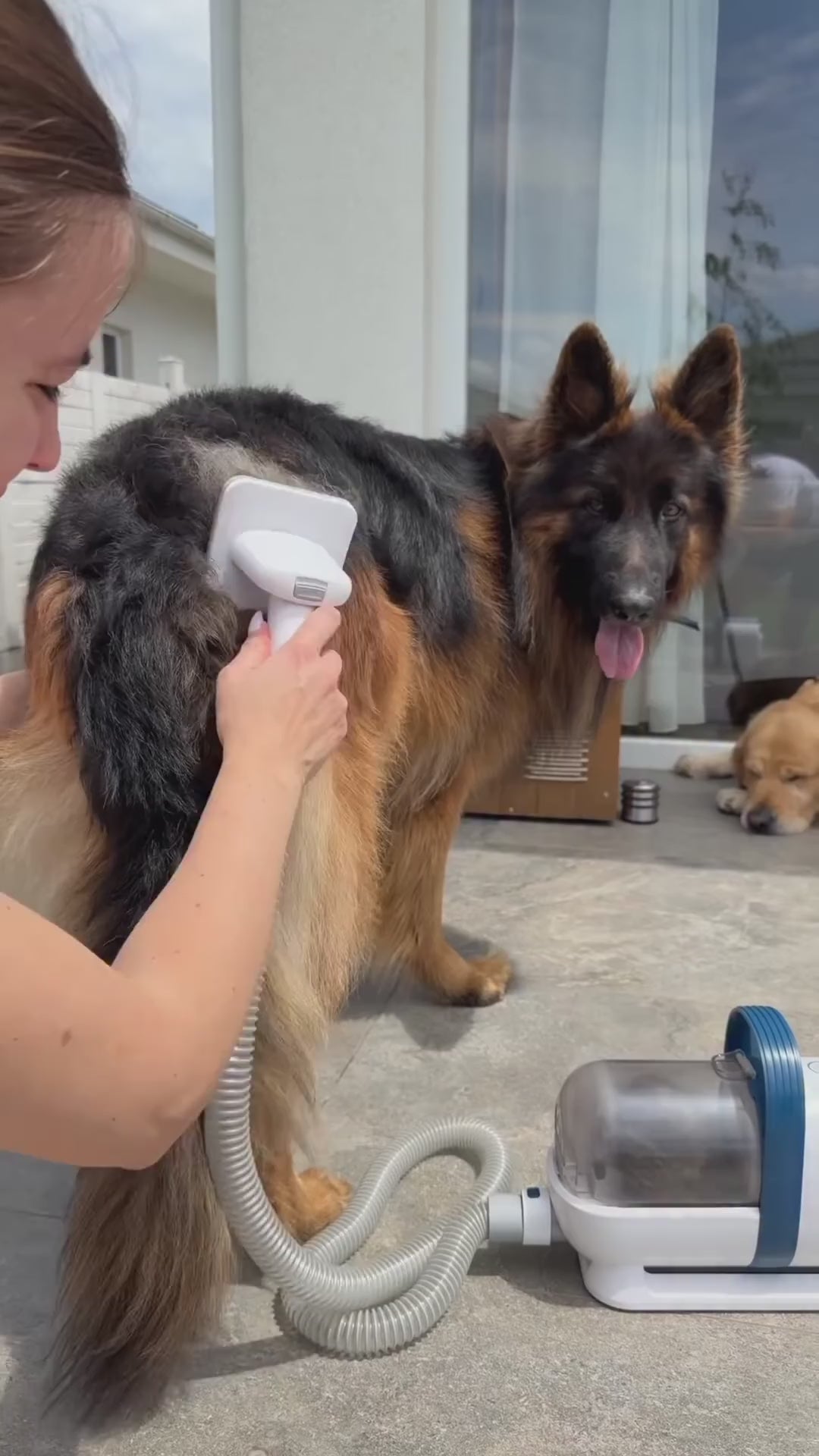 6-in-1 Pet Grooming Kit with Vacuum – Quiet Clipper & Nail Grinder