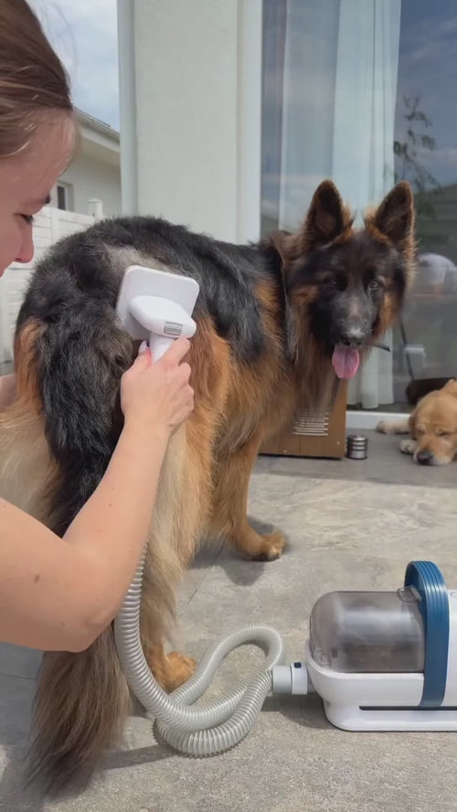 6-in-1 Pet Grooming Kit with Vacuum – Quiet Clipper & Nail Grinder