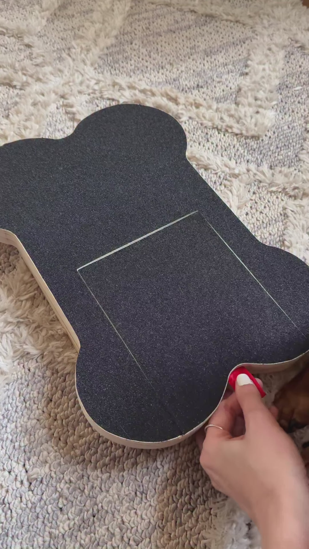 Dog Enrichment Bundle
