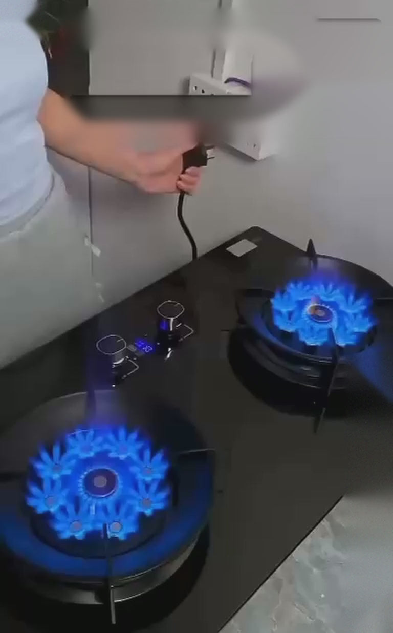 Portable Gas Stove