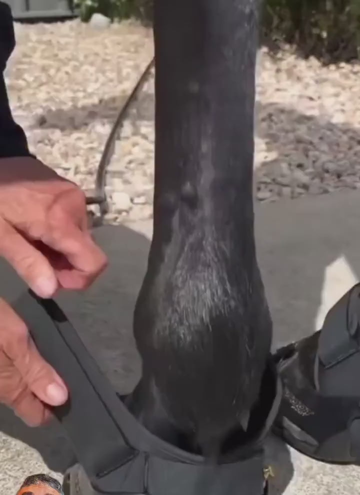 Flexible Protective Hoof Boot for Horses