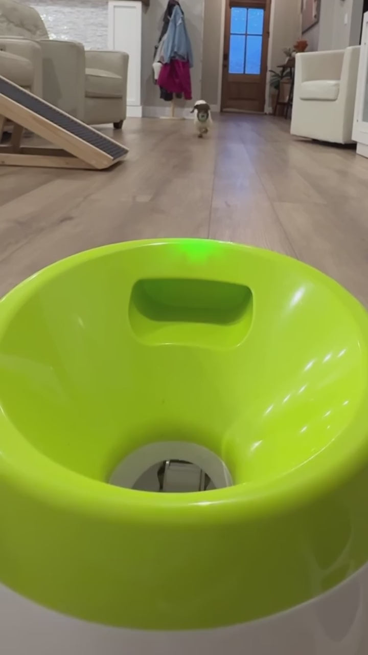 Automatic dog ball launcher