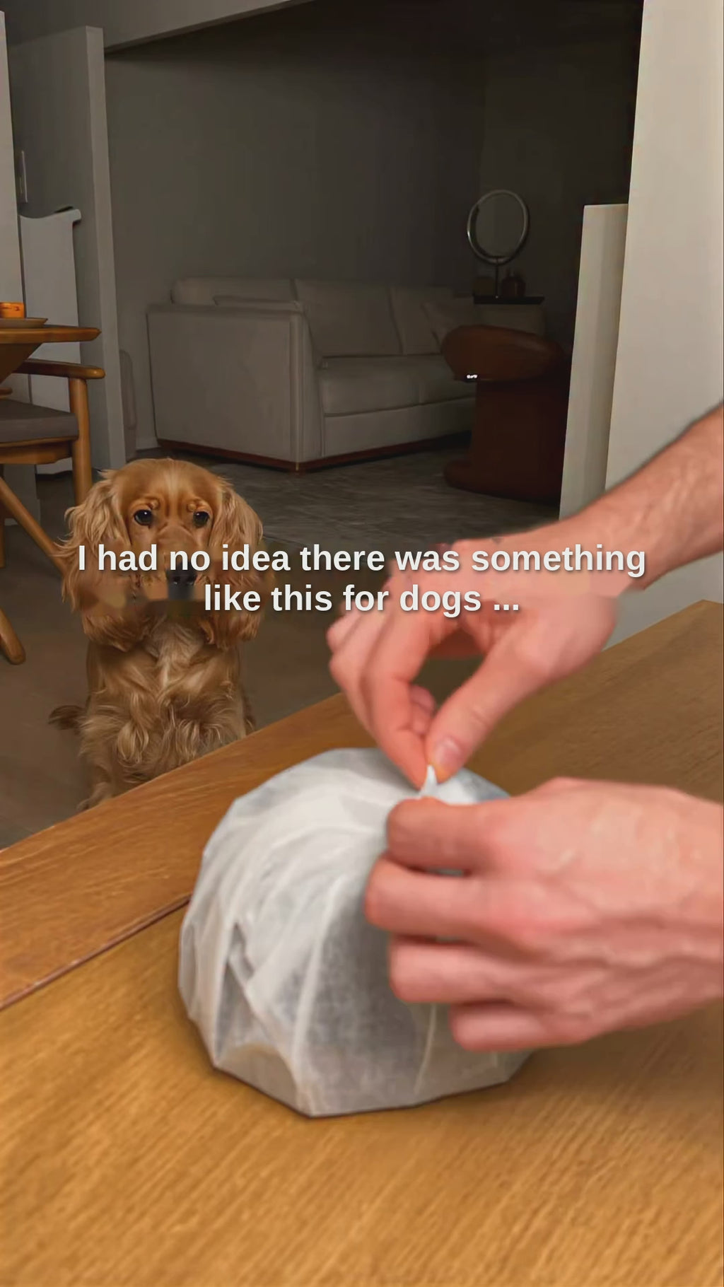 Calming Dog Ear Covers