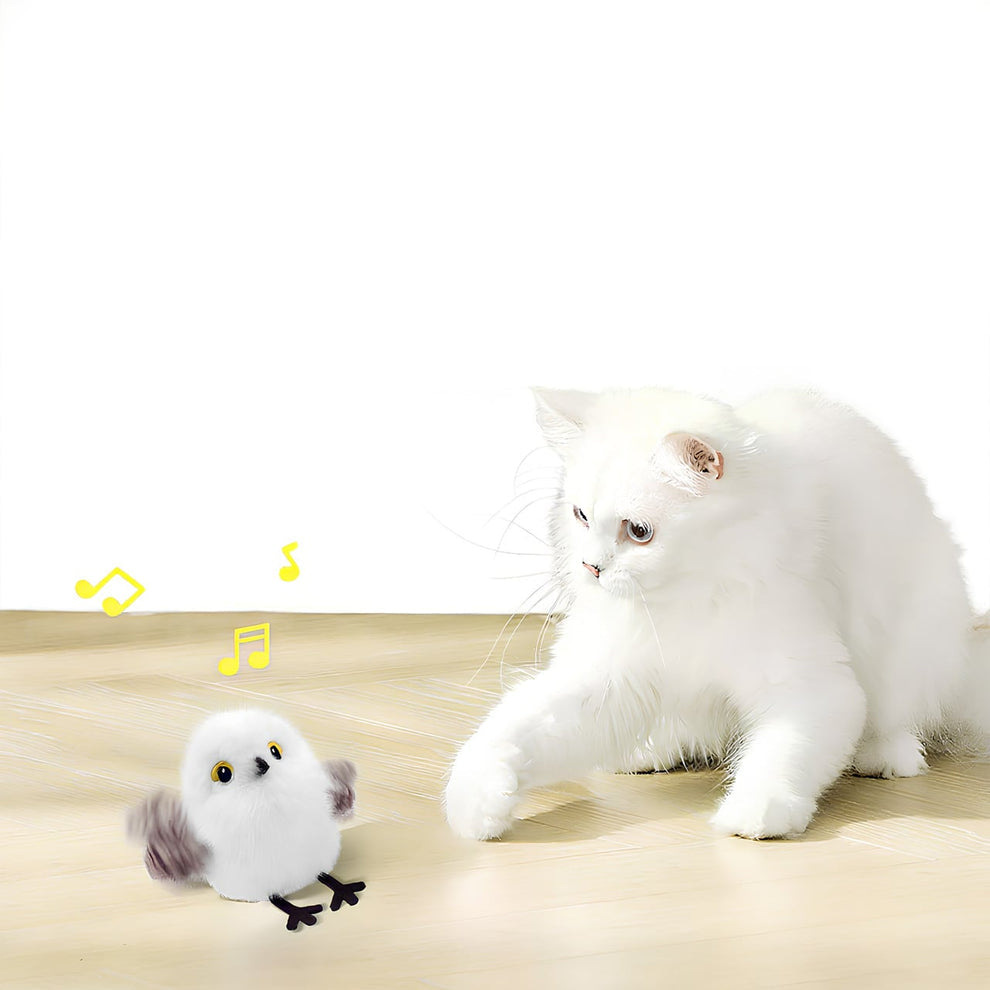 Flapping Bird Cat Toy – White Owl playing with cat