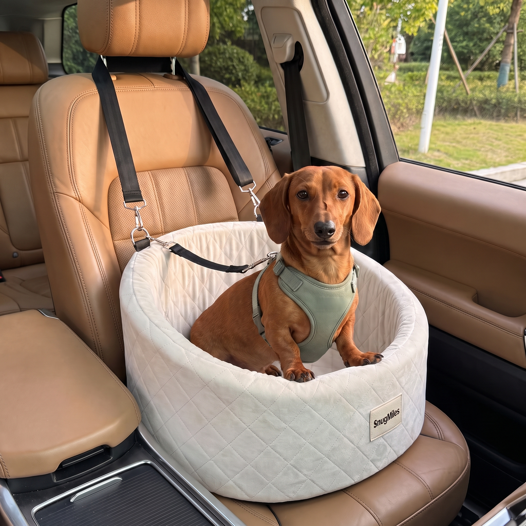 Dog Car Seat – Quilted Travel Bed for Small Dogs