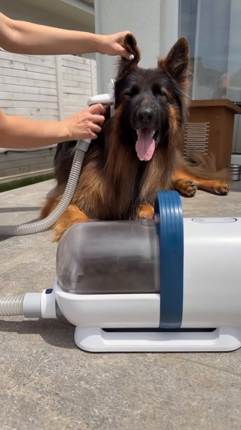 6-in-1 Pet Grooming Kit with Vacuum