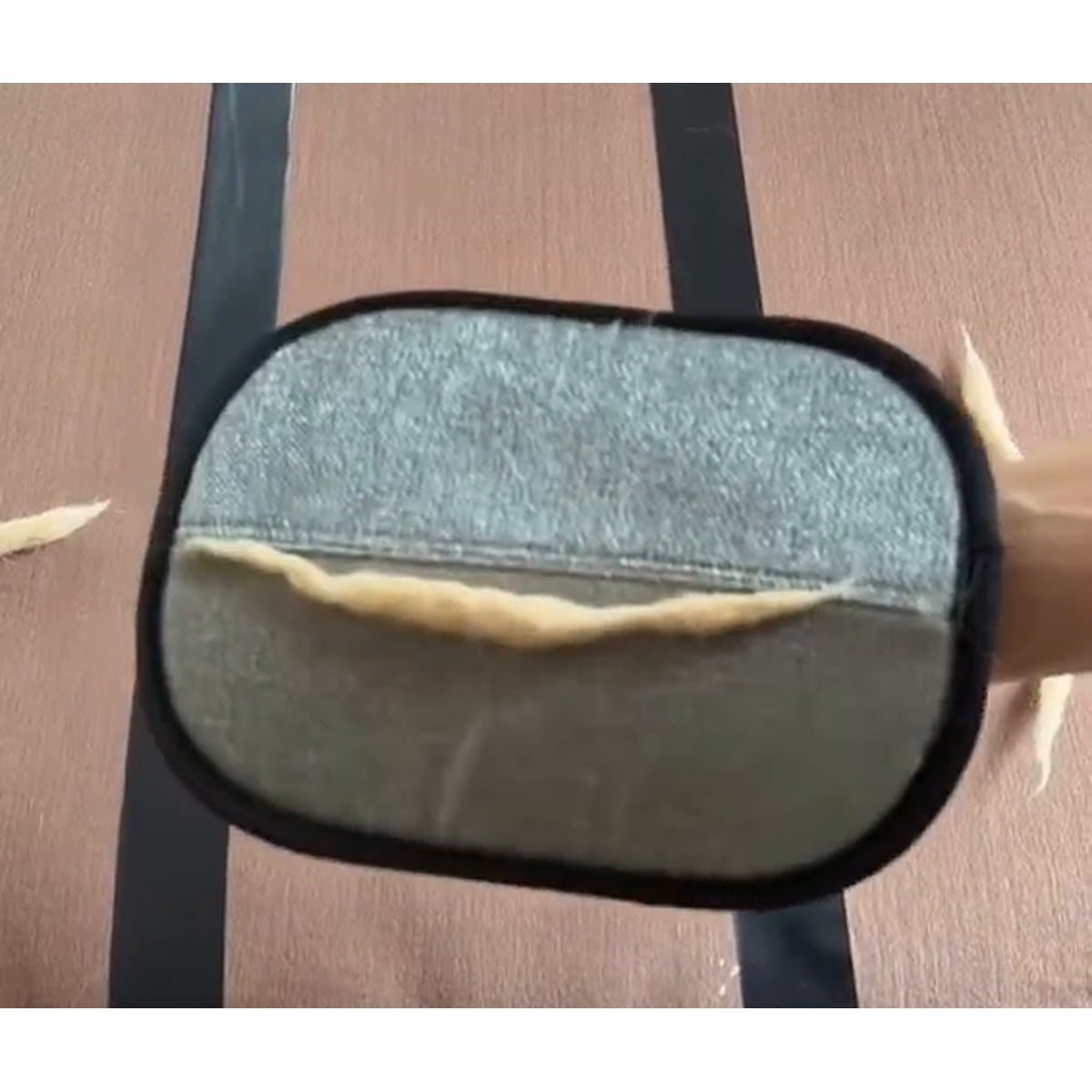Pet Hair Remover Glove